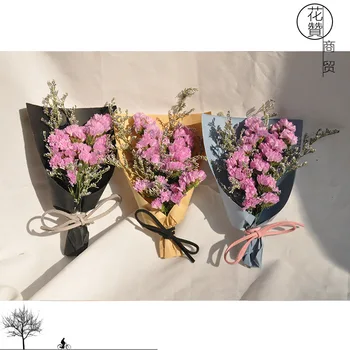 Photography Props Ins Bouquets Do Not Forget Me Dry Flowers Mini Bouquets Photo Paraphernalia Christmas Gift
Photography Props Ins Bouquets Do Not Forget Me Dry Flowers Mini Bouquets Photo Paraphernalia Christmas Gift