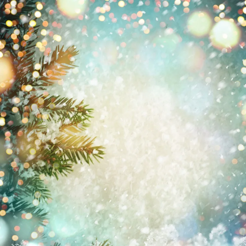 Laeacco Photography Backdrops Christmas Winter Snowflake Pine Polka Dots Bokeh Dreamy Baby Portrait Backdrops For Photo Studio
Laeacco Photography Backdrops Christmas Winter Snowflake Pine Polka Dots Bokeh Dreamy Baby Portrait Backdrops For Photo Studio