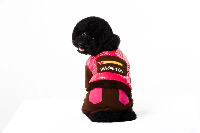 5 clothes for small dogs