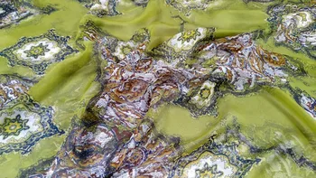 Tecido 8 moomin chiffon fabric silk flowers prints african ankara fabric shirt cloth scarf tecidos telas por metros tessuti
Tecido 8 moomin chiffon fabric silk flowers prints african ankara fabric shirt cloth scarf tecidos telas por metros tessuti