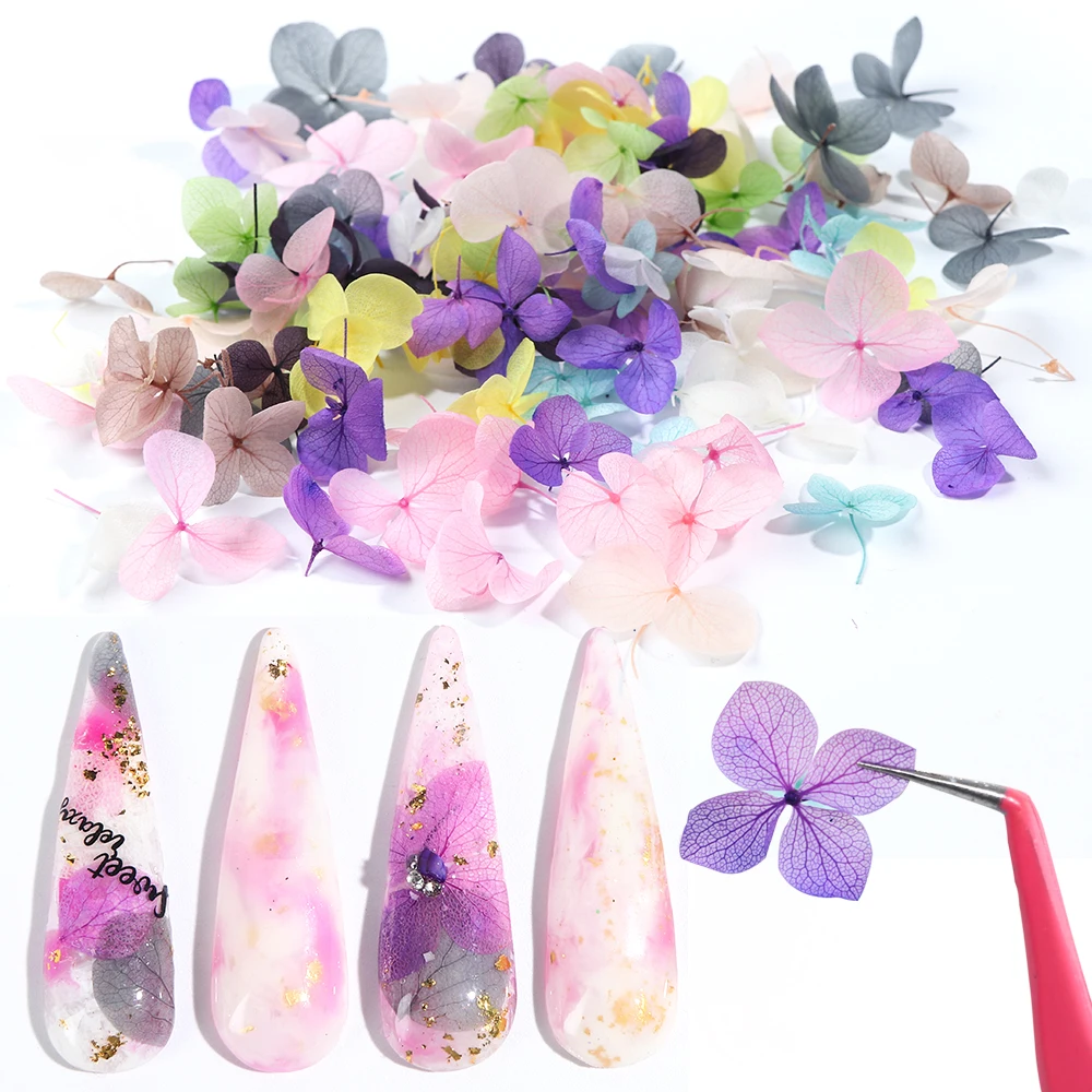 100pcs Colorful Dried Flowers Nail Art Decorations 3D Natural Blooming Sliders Summer Floral Sticker Manicure Accessories LY1505
100pcs Colorful Dried Flowers Nail Art Decorations 3D Natural Blooming Sliders Summer Floral Sticker Manicure Accessories LY1505