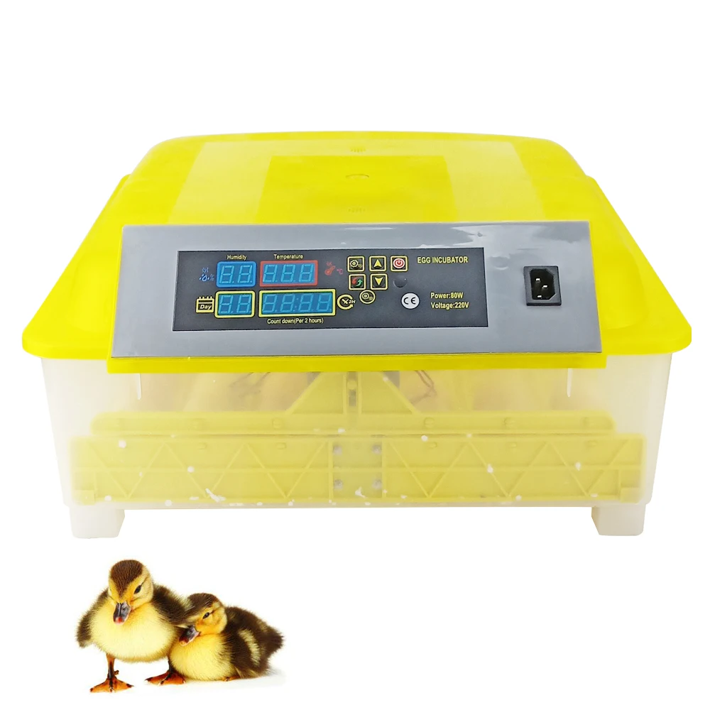 digital temperature control for chicken hatching egg-turning machine with high quality and security chicken incubator tools
digital temperature control for chicken hatching egg-turning machine with high quality and security chicken incubator tools