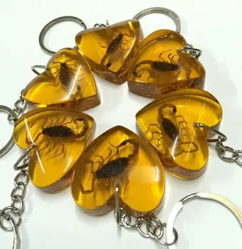 News--gold scorpion with heart design keychain 5 pcs best sale jewelry
News--gold scorpion with heart design keychain 5 pcs best sale jewelry