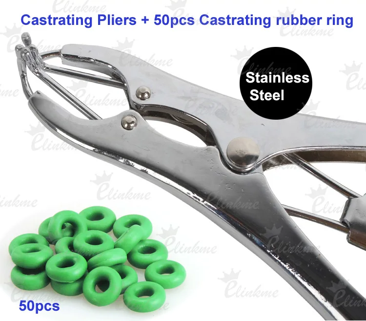 Stainless Steel Castrating Pliers+50pcs Castrating Rubber Ring Applicator pig cow sheep plier Veterinary,free shipping
Stainless Steel Castrating Pliers+50pcs Castrating Rubber Ring Applicator pig cow sheep plier Veterinary,free shipping