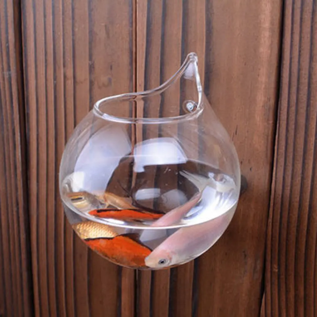 Creative Transparent Borosilicate Glass Wall Hanging Fish Tank Clear Vase Home Decorative Oranment
Creative Transparent Borosilicate Glass Wall Hanging Fish Tank Clear Vase Home Decorative Oranment