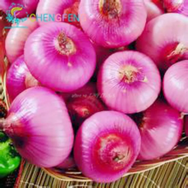 100pcs/bag Fresh Giant Purple Onion Plants Vegetable Plantas 95%+ Germination Vegetable Onion for Home Garden Free Shipping
100pcs/bag Fresh Giant Purple Onion Plants Vegetable Plantas 95%+ Germination Vegetable Onion for Home Garden Free Shipping