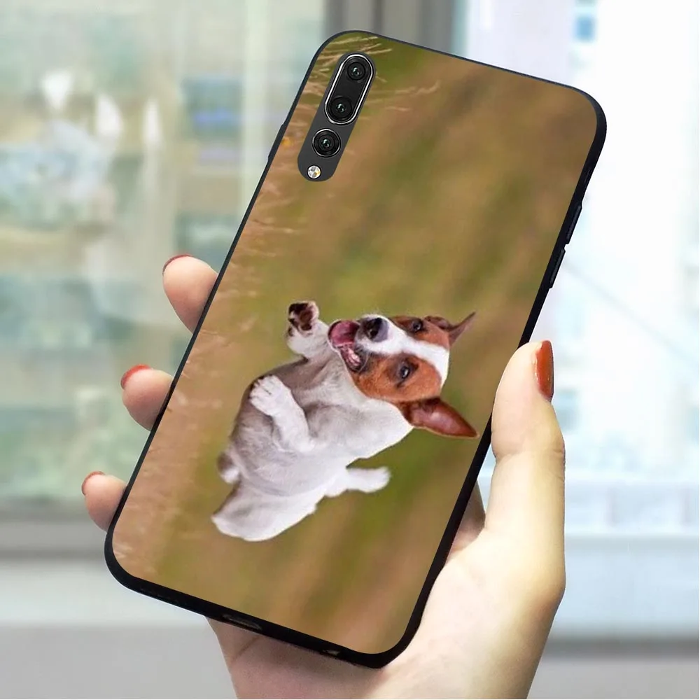 Jack Russell Terrier Dog Soft TPU Case for Huawei Honor 8C Cover for 9 Lite 10 Note Y6 Y7 Prime 2018 Y9 Nova 3 3i 4 6A 7A X C
Jack Russell Terrier Dog Soft TPU Case for Huawei Honor 8C Cover for 9 Lite 10 Note Y6 Y7 Prime 2018 Y9 Nova 3 3i 4 6A 7A X C