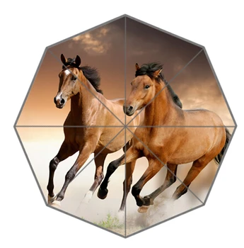 New Arrive-27 Outdoor Umbrellas Creative Design High Quality Beautiful White Black Horses Foldable Rain Umbrella Gift To Friend
New Arrive-27 Outdoor Umbrellas Creative Design High Quality Beautiful White Black Horses Foldable Rain Umbrella Gift To Friend