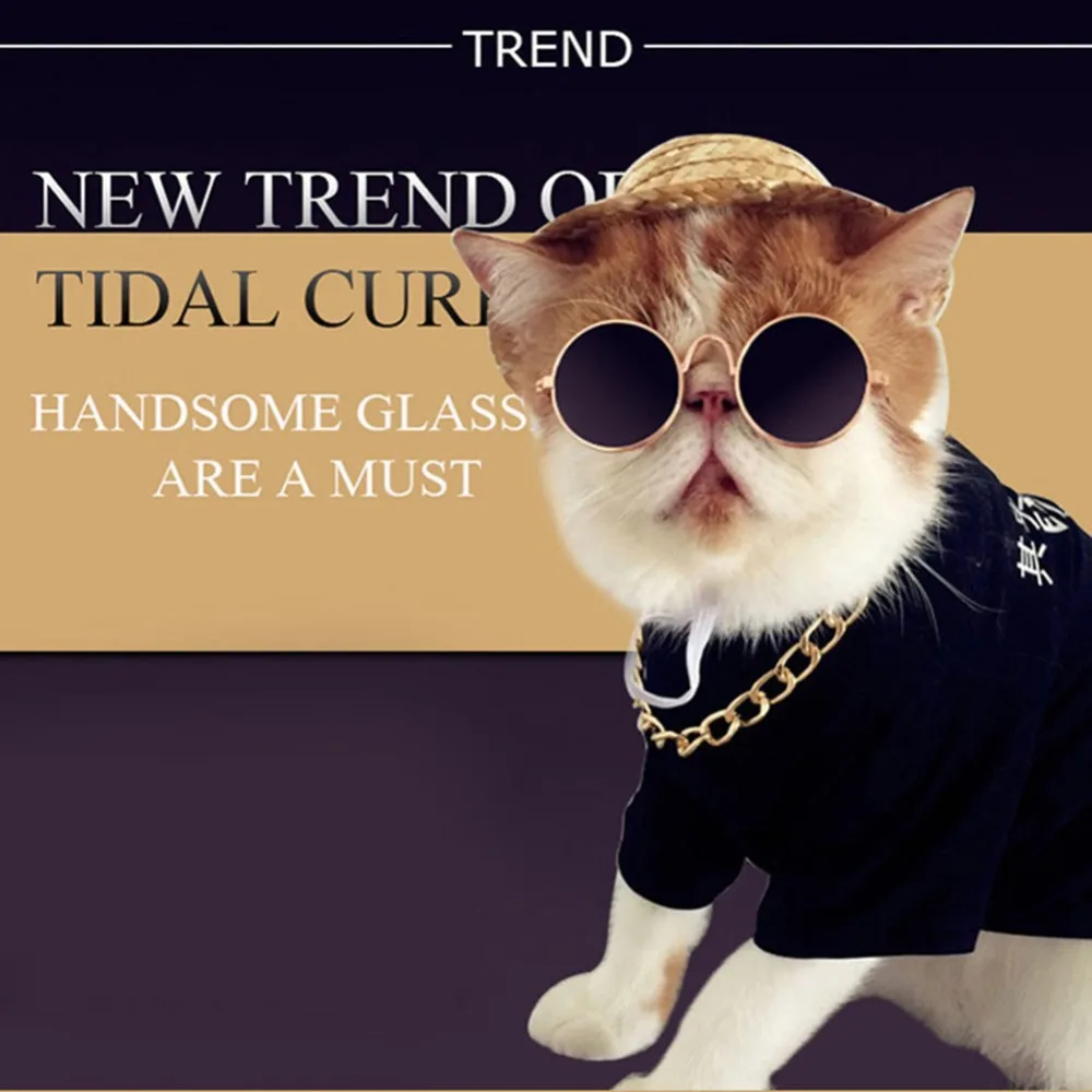 Dog-Cat-Pet-Glasses-For-Pet-Products-Little-Dog-Eye-wear-Dog-Pet-Sunglasses-Photos-Props (2)