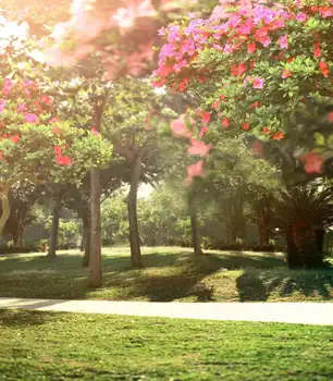 TR Sunshine Forest Photo Background Flower Trees Grass Forest Path Photography Backdrop Backgrounds Custom Vinyl Studio Props 
TR Sunshine Forest Photo Background Flower Trees Grass Forest Path Photography Backdrop Backgrounds Custom Vinyl Studio Props