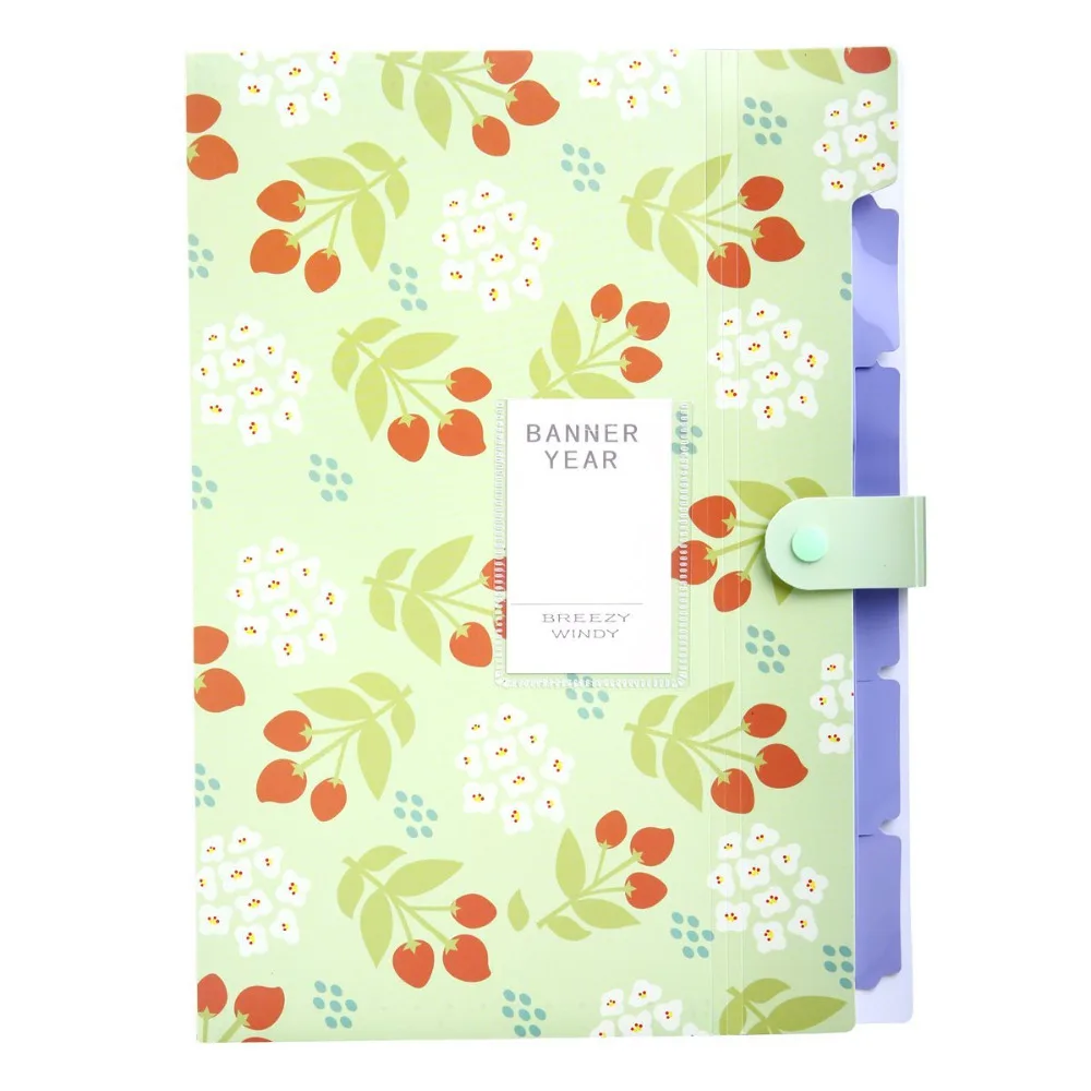 XRHYY Floral Printed Accordion Document File Folder Expanding Letter Organizer (Green)
XRHYY Floral Printed Accordion Document File Folder Expanding Letter Organizer (Green)
