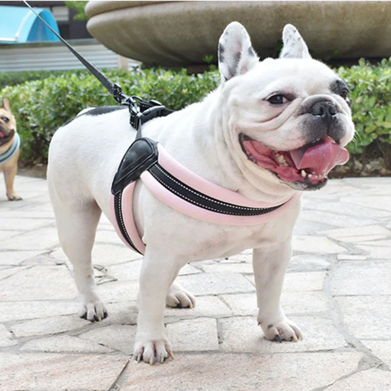 JORMEL Dog Harness Easy On and Off Adjustable Medium Large Dogs Reflective no Pull Training Vest for pet Dogs walking harness
JORMEL Dog Harness Easy On and Off Adjustable Medium Large Dogs Reflective no Pull Training Vest for pet Dogs walking harness