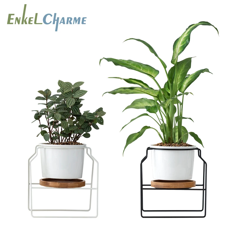 Succulent Flower Pots Ceramic Flowerpots Stand Holder White Black Iron Rack Bamboo Tray Desktop Geometric Cactus Round Planter
Succulent Flower Pots Ceramic Flowerpots Stand Holder White Black Iron Rack Bamboo Tray Desktop Geometric Cactus Round Planter