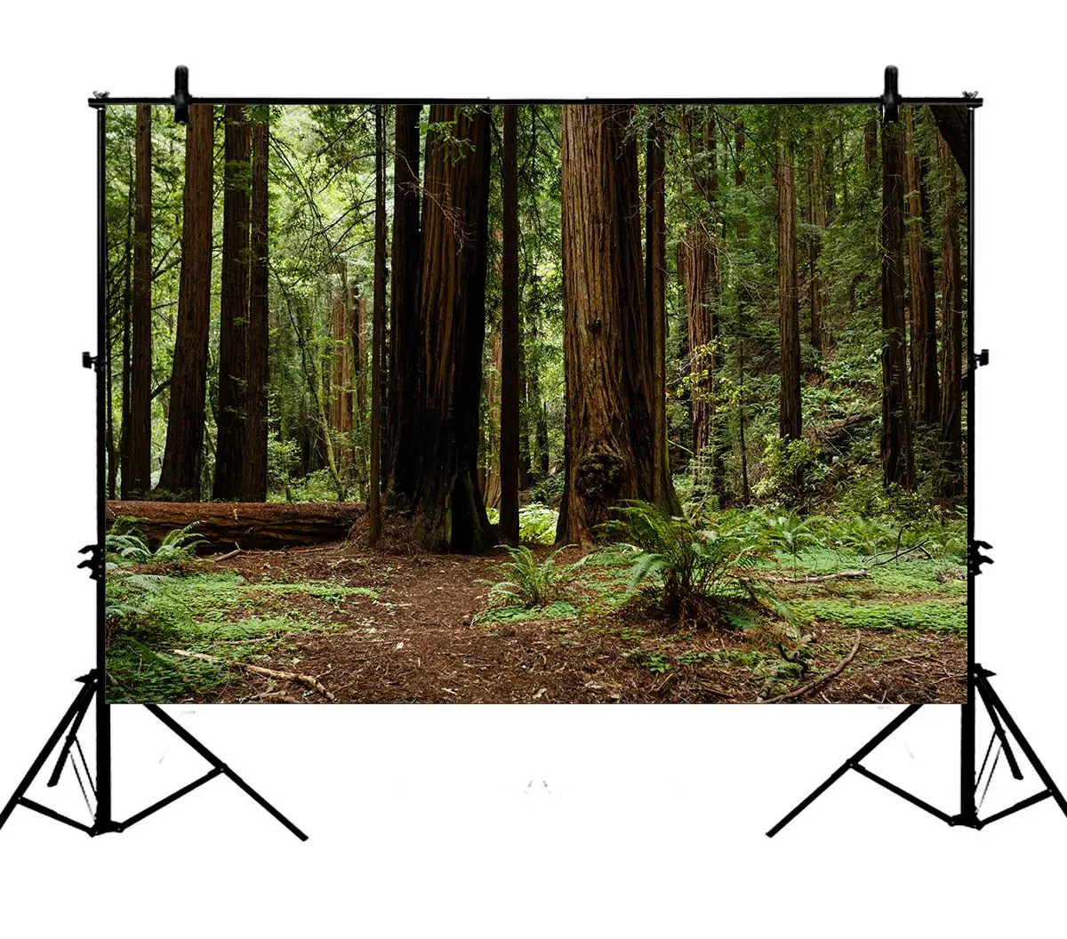 5x7ft Nature Forest Redwood Trees Green Woods Plants Polyester Photo Background Portrait Backdrop
5x7ft Nature Forest Redwood Trees Green Woods Plants Polyester Photo Background Portrait Backdrop