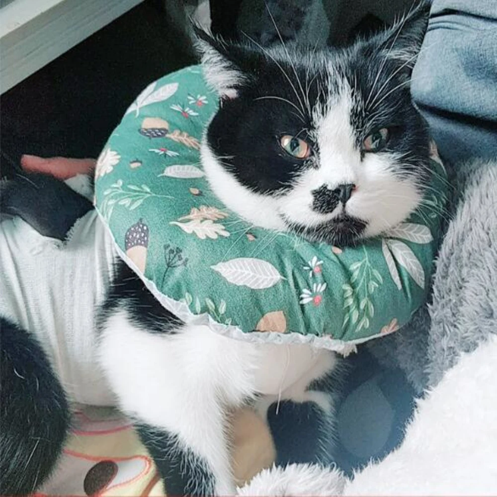 Pet Protective Collar Cat Neck Elizabeth Circle Collar for Anti-Bite Lick Surgery Wound Healing Cat Dogs Health Medical Circle
Pet Protective Collar Cat Neck Elizabeth Circle Collar for Anti-Bite Lick Surgery Wound Healing Cat Dogs Health Medical Circle