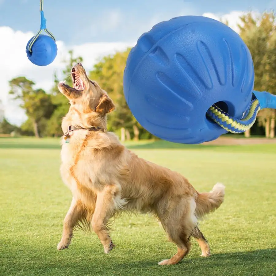 6cm 9cm Dog Toy Interactive Rubber Balls Pet Cat Puppy Elasticity Teeth Ball Dog Chew Toys Tooth Cleaning Ball with Carrier Rope
6cm 9cm Dog Toy Interactive Rubber Balls Pet Cat Puppy Elasticity Teeth Ball Dog Chew Toys Tooth Cleaning Ball with Carrier Rope