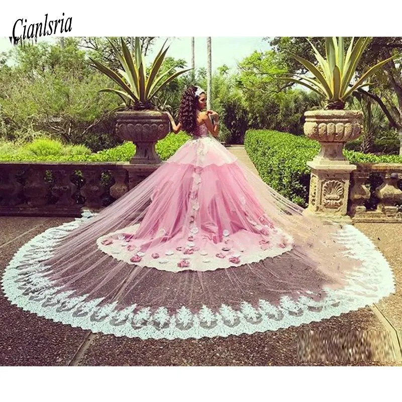 Luxury Pink Ball Gown Quinceanera Dresses With Detachable Train Lace Applique Hand Made Flowers Floral Formal Prom Party Gown
Luxury Pink Ball Gown Quinceanera Dresses With Detachable Train Lace Applique Hand Made Flowers Floral Formal Prom Party Gown