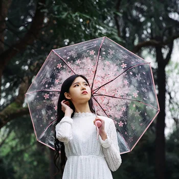 Three Fold Umbrella Women Transparent Clear Cherry Blossom Mushroom Apollo Sakura Folding Sunshade Umbrella Rain Women Parasol
Three Fold Umbrella Women Transparent Clear Cherry Blossom Mushroom Apollo Sakura Folding Sunshade Umbrella Rain Women Parasol