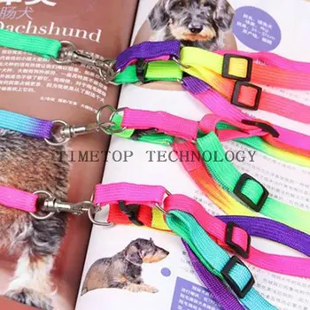 50Pcs/Lot Dog Lead Ropes Dog Collars Leads Puppy Dog Products Pet Product Training Belt Pet Running Lead Rope
50Pcs/Lot Dog Lead Ropes Dog Collars Leads Puppy Dog Products Pet Product Training Belt Pet Running Lead Rope