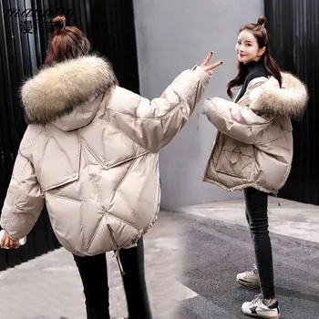 2019 New Fashion Warm Winter Short Coats Women Loose Parkas Outwear Female Fox fur collar Hooded Winter Down jackets tops NO949
2019 New Fashion Warm Winter Short Coats Women Loose Parkas Outwear Female Fox fur collar Hooded Winter Down jackets tops NO949