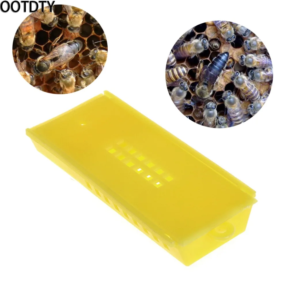 OOTDTY 5Pcs Bee Boxs Honey Beekeeping Plastic Hive Cage Catching Tool Moving Equipment
OOTDTY 5Pcs Bee Boxs Honey Beekeeping Plastic Hive Cage Catching Tool Moving Equipment