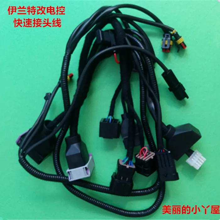 Original Elantra modified electric control harness Elantra gas harness D06 wiring harness EXON system Harness
Original Elantra modified electric control harness Elantra gas harness D06 wiring harness EXON system Harness