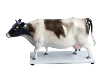 Cattle model mini milk cow acupuncture point model model animal Anatomical model
Cattle model mini milk cow acupuncture point model model animal Anatomical model
