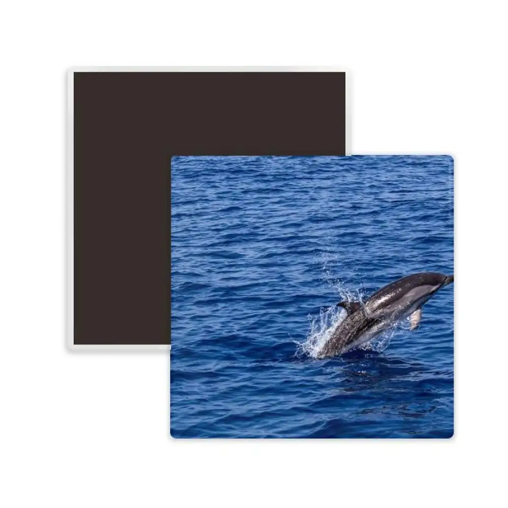 DIYthinker Ocean Water Killer Whale Nature Picture Square Ceramics Fridge Magnet 2pcs
DIYthinker Ocean Water Killer Whale Nature Picture Square Ceramics Fridge Magnet 2pcs