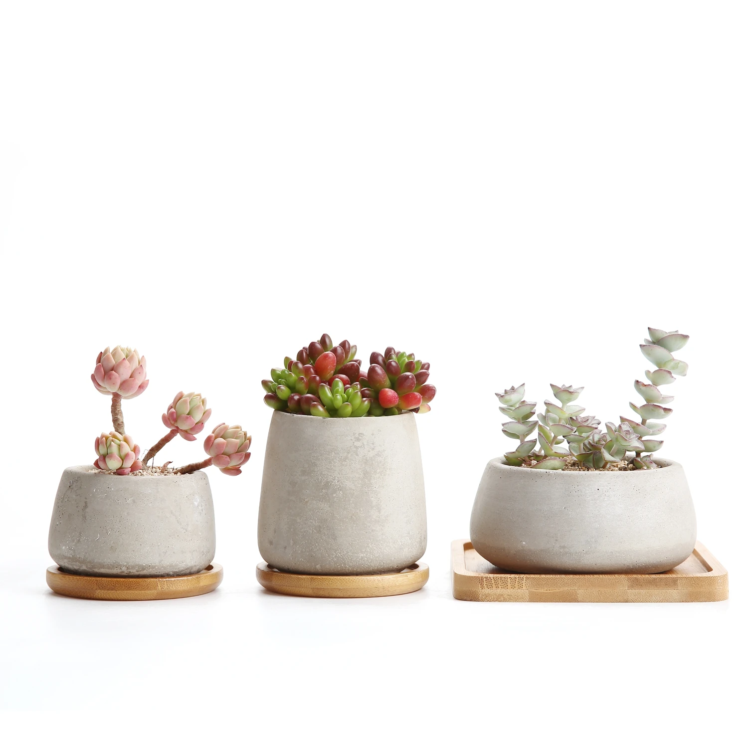 T4U 3.5 Inch Cement Round succulent planter Cactus Plant Pot Flower Pots maceta bonsai Containers Window With Bamboo Tray
T4U 3.5 Inch Cement Round succulent planter Cactus Plant Pot Flower Pots maceta bonsai Containers Window With Bamboo Tray