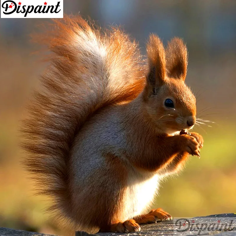 Dispaint Full Square/Round Drill 5D DIY Diamond Painting "Animal squirrel" 3D Embroidery Cross Stitch 5D Home Decor A11973
Dispaint Full Square/Round Drill 5D DIY Diamond Painting "Animal squirrel" 3D Embroidery Cross Stitch 5D Home Decor A11973