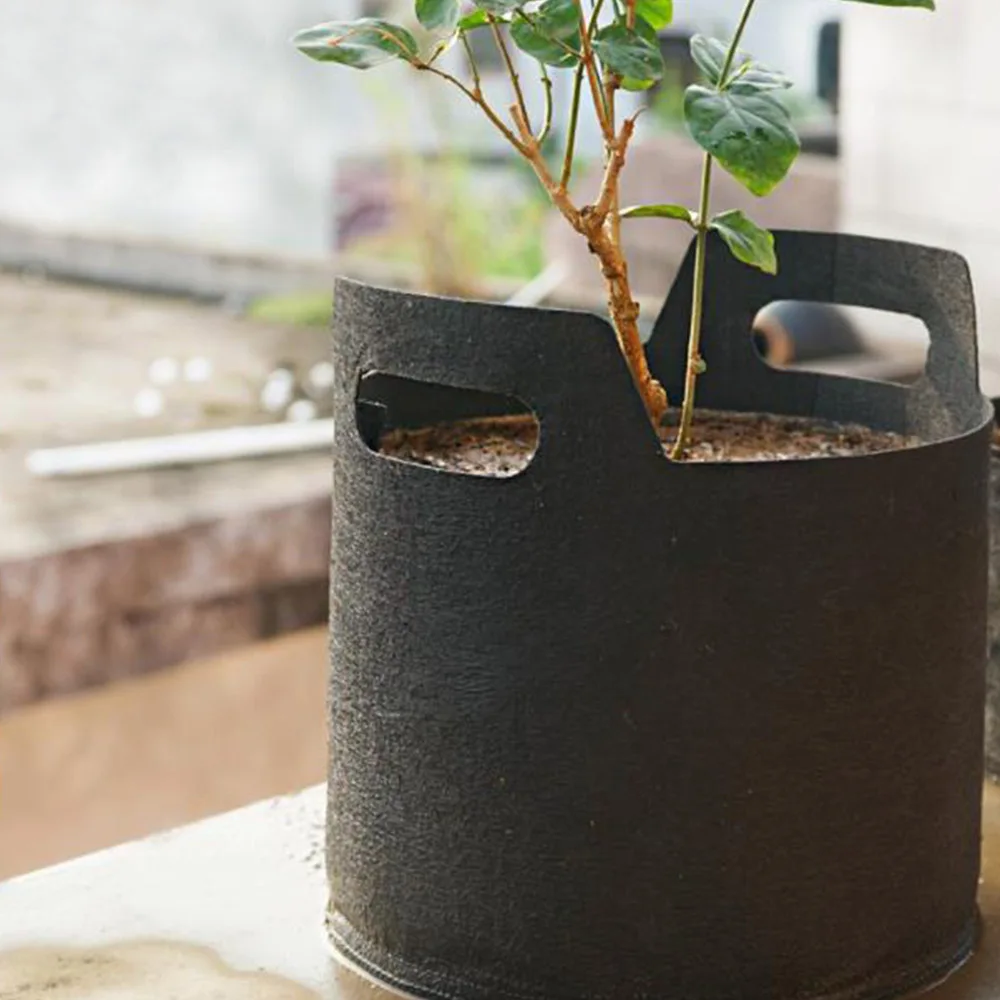1pcs Non Woven Black Grow Bag Multifunction Home Storage Reuse Round Aeration Pot Plant Nursery Flowers Pots Container Grow Bag
1pcs Non Woven Black Grow Bag Multifunction Home Storage Reuse Round Aeration Pot Plant Nursery Flowers Pots Container Grow Bag