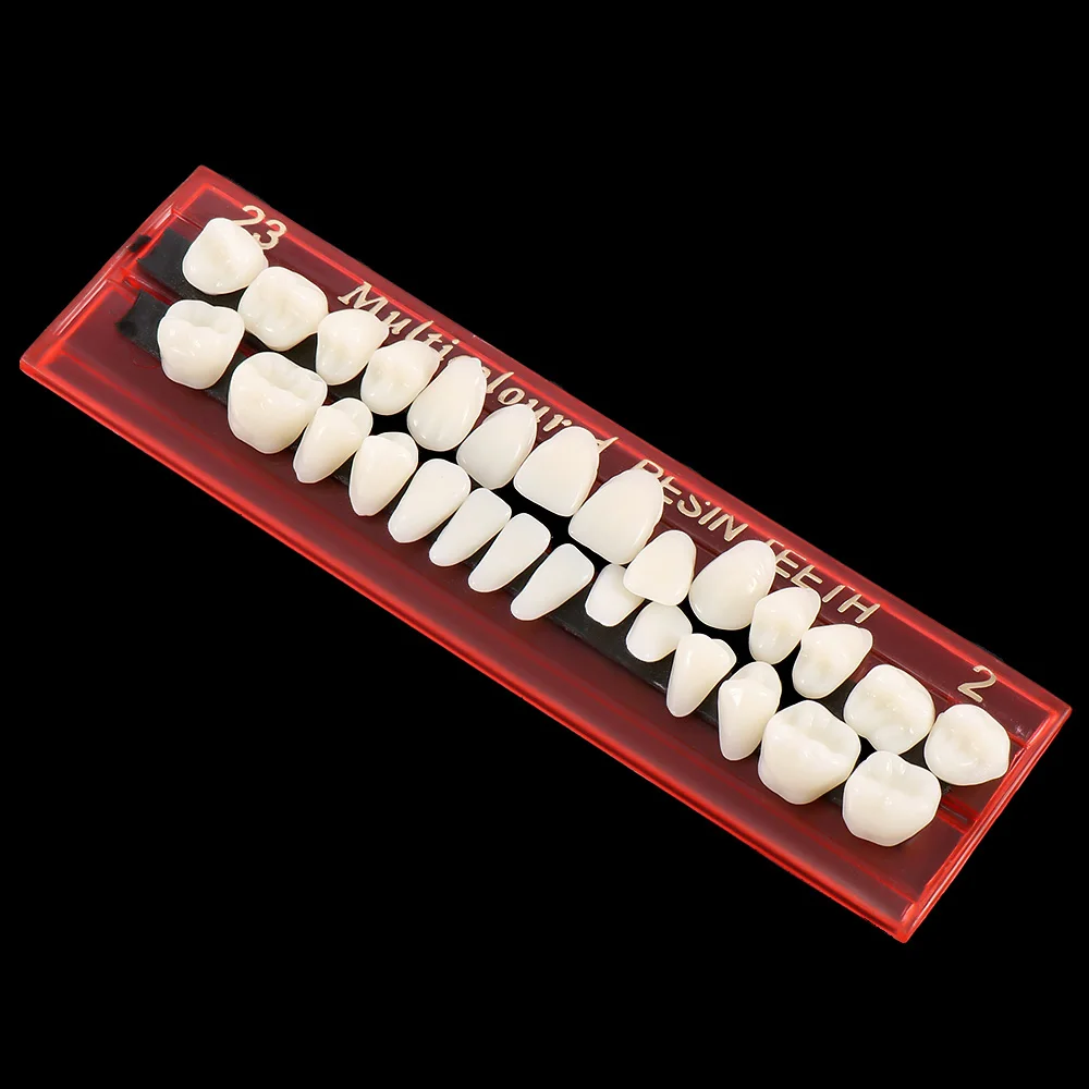 28pcs/set Resin Teeth Tooth Dental Materials Dentures Colors Teeth Model Guide Teeth Model Teach Durable High Quality
28pcs/set Resin Teeth Tooth Dental Materials Dentures Colors Teeth Model Guide Teeth Model Teach Durable High Quality