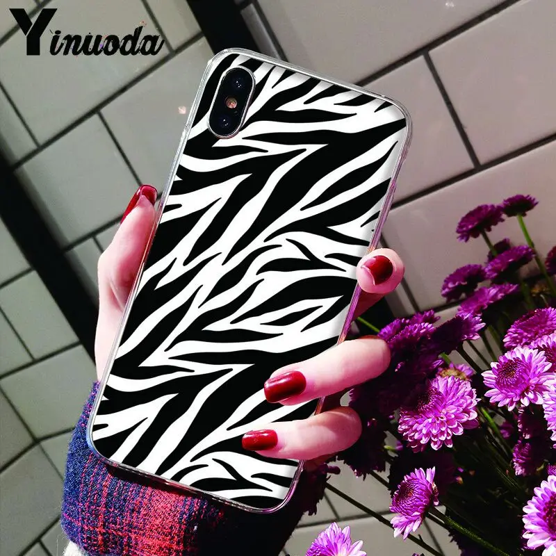 Animal Black white Zebra Stripe
