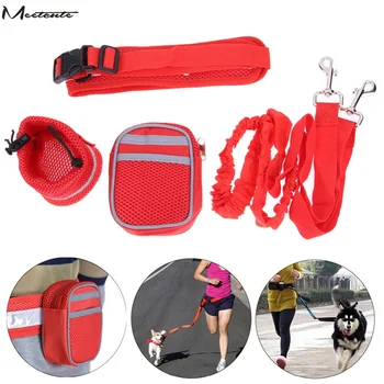 Meetcute Running Dog Multifunction Elastic Nylon Lead Leash Padded Waist With Reflective Strip+Zipper Bag+Bottle Holder for Dog
Meetcute Running Dog Multifunction Elastic Nylon Lead Leash Padded Waist With Reflective Strip+Zipper Bag+Bottle Holder for Dog