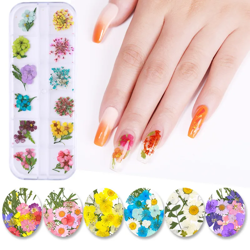 Dried Flowers Leaf Nail Decoration Natural Floral Sticker 3D Dry Beauty Nail Art Decals Mixed Dry Bloom Tips for UV Gel Polish
Dried Flowers Leaf Nail Decoration Natural Floral Sticker 3D Dry Beauty Nail Art Decals Mixed Dry Bloom Tips for UV Gel Polish