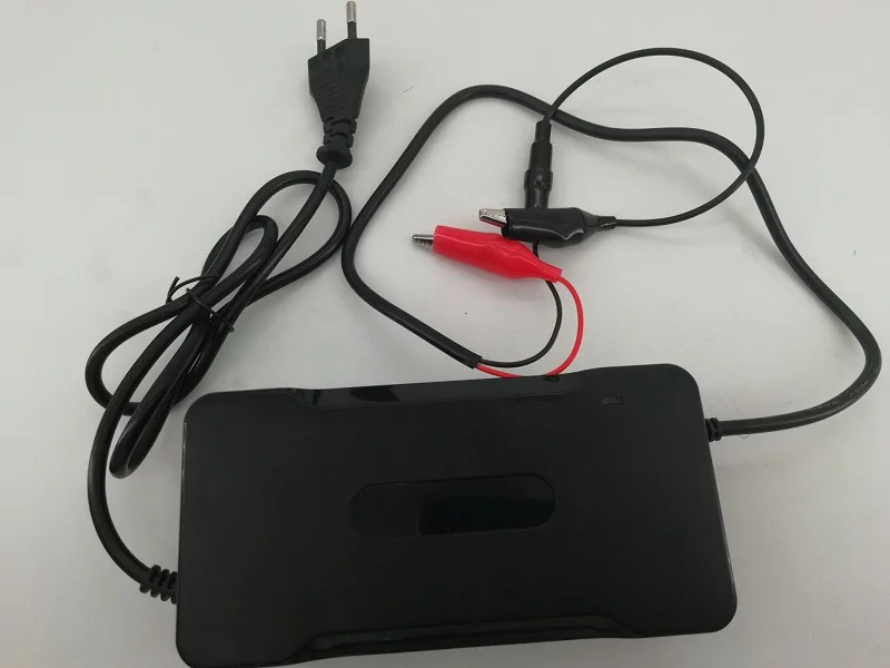 LiFePO4 Battery charger