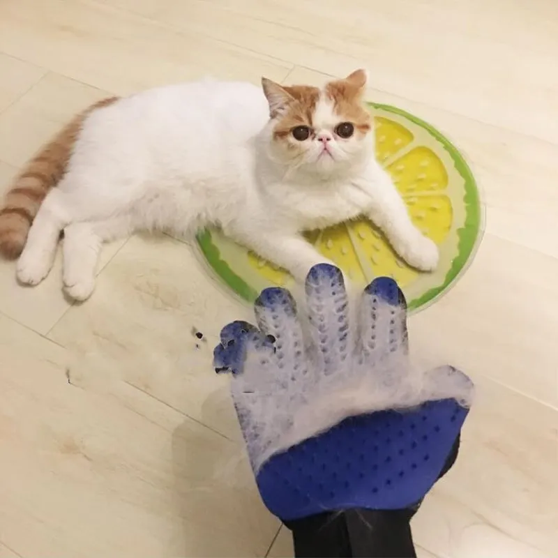 Chat Toilettage Gant Pour Chats Pet Chien Cheveux Deshedding Brosse Peigne Gant Pour Animal de Compagnie Chien Doigt De Nettoyag
Chat Toilettage Gant Pour Chats Pet Chien Cheveux Deshedding Brosse Peigne Gant Pour Animal de Compagnie Chien Doigt De Nettoyag