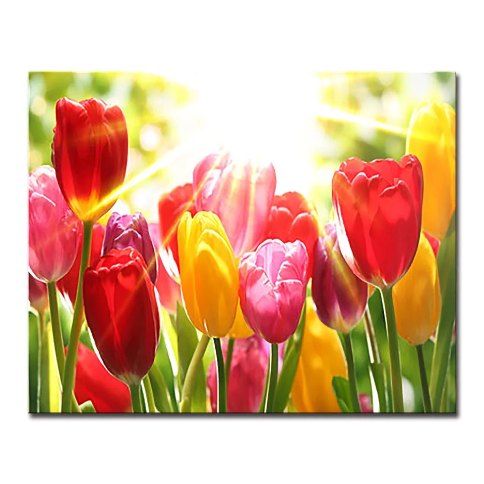 Oil Painting By Numbers DIY Kits Colors Drawing Digit Sunshine Tulip On Canvas Home Decoration Wall Art Abstract Flower Pictures
Oil Painting By Numbers DIY Kits Colors Drawing Digit Sunshine Tulip On Canvas Home Decoration Wall Art Abstract Flower Pictures