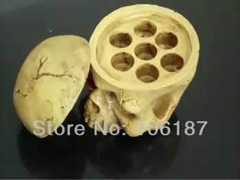 5Pcs Skull Type Hard Resin Tattoo Ink Cup/caps Holder tattoo accessories For Tattoo Ink Cups Supply
5Pcs Skull Type Hard Resin Tattoo Ink Cup/caps Holder tattoo accessories For Tattoo Ink Cups Supply