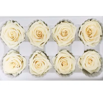 Mother's Day Gifts Preserved Flowers 8pcs/box Flower Wholesale Immortal Rose DIY Eternal Long Life Plant Material 4-5cm
Mother's Day Gifts Preserved Flowers 8pcs/box Flower Wholesale Immortal Rose DIY Eternal Long Life Plant Material 4-5cm