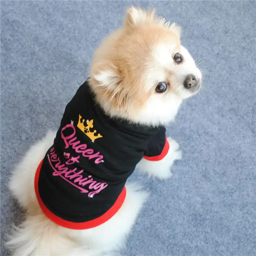 New Fashion Summer Cute Dog Pet Vest Cotton Puppy T Shirt Queen print doggy cloth clothing dress drop shipping on sale
New Fashion Summer Cute Dog Pet Vest Cotton Puppy T Shirt Queen print doggy cloth clothing dress drop shipping on sale