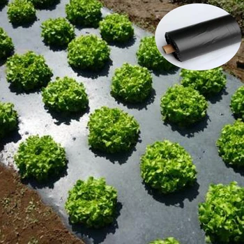 Tewango Biodegradeable Weed Control Mulch Film Allotments Vegetable Patch Borders Insect Prevention 1.2s PE Films
Tewango Biodegradeable Weed Control Mulch Film Allotments Vegetable Patch Borders Insect Prevention 1.2s PE Films