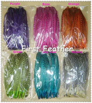 100pcs/Lot 15-20cm Guinea Hen Wing Feathers - Wing Quills Available FREESHIPPING
100pcs/Lot 15-20cm Guinea Hen Wing Feathers - Wing Quills Available FREESHIPPING