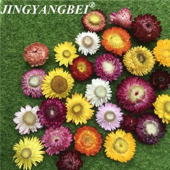 50g&150g Natural Colorful Chrysanthemum dried Flower heads wedding flower centerpieces Dry flower Preserved Flower
50g&150g Natural Colorful Chrysanthemum dried Flower heads wedding flower centerpieces Dry flower Preserved Flower
