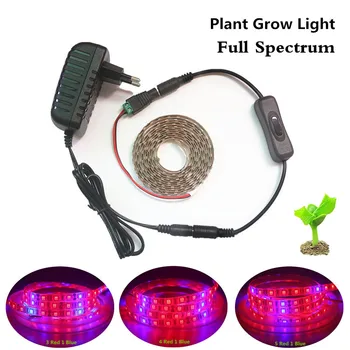 1m-5m Set Full Spectrum LED Strip Light 60leds/m 5050 Chip LED Phyto Fitolampy Grow Lights For Greenhouse Hydroponic plant DC12V
1m-5m Set Full Spectrum LED Strip Light 60leds/m 5050 Chip LED Phyto Fitolampy Grow Lights For Greenhouse Hydroponic plant DC12V