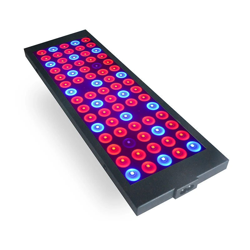 40W LED Grow Panel Light For Flower Plant Growing Full Spectrum Led Grow Lights White Red Blue UV IR Light Color Lamp For Plants
40W LED Grow Panel Light For Flower Plant Growing Full Spectrum Led Grow Lights White Red Blue UV IR Light Color Lamp For Plants