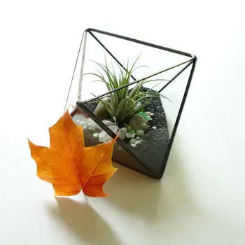 Home decorative DIY art flower pot planters metal glass pots desktop decoration Irregular Geometric vases
Home decorative DIY art flower pot planters metal glass pots desktop decoration Irregular Geometric vases