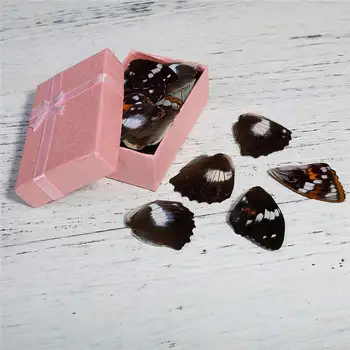 DoreenBeads Real Butterfly Wing For DIY & Craft Multicolor 4.7cm x3.2cm(1 7/8" x1 2/8") - 3.6cm x3.2cm(1 3/8" x1 2/8"), 1 Piece 
DoreenBeads Real Butterfly Wing For DIY & Craft Multicolor 4.7cm x3.2cm(1 7/8" x1 2/8") - 3.6cm x3.2cm(1 3/8" x1 2/8"), 1 Piece