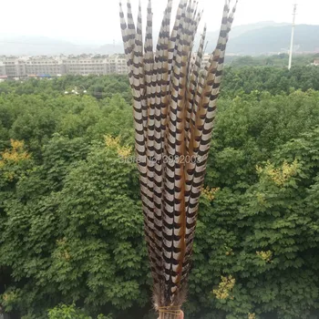 Hot sales 50pcs beautiful natural copper feathers long 40-44 inches / 100-110 cm decorative diy collection stage show
Hot sales 50pcs beautiful natural copper feathers long 40-44 inches / 100-110 cm decorative diy collection stage show