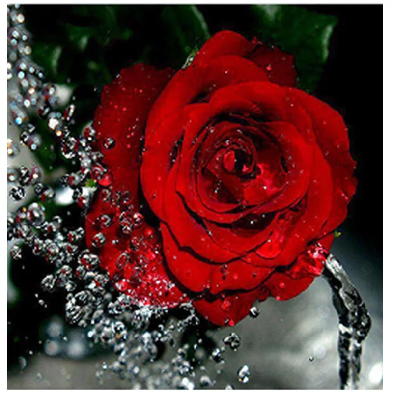 5d diamond painting cross stitch diamond embroidery red rose flower round diamond mosaic diamond embroidered kit flowers gift
5d diamond painting cross stitch diamond embroidery red rose flower round diamond mosaic diamond embroidered kit flowers gift